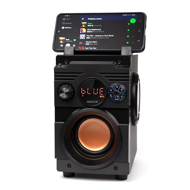 Squeak Głośnik Bassblaster Bluetooth, 5.1, Radio Fm, Odtwarzacz Mp3 Sq1001