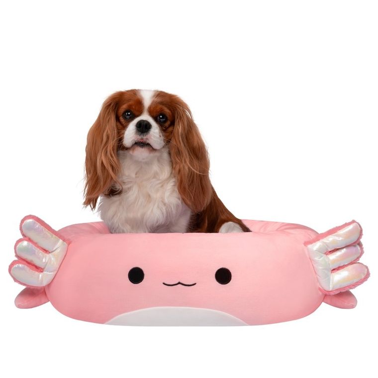 Squishmallows, legowisko dla psa, rozmiar M, 60 cm, Archie The Axolotl