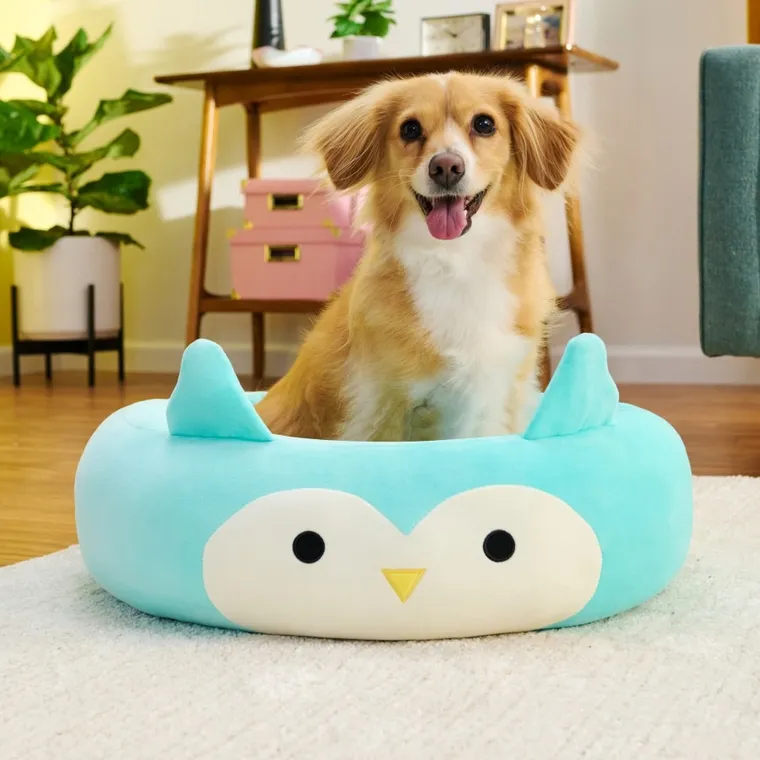 Squishmallows, legowisko dla psa, rozmiar M, 60 cm, Winston the Owl