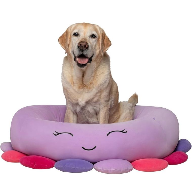 Squishmallows, legowisko dla psa, rozmiar XL, 91 cm, Beula The Octopus