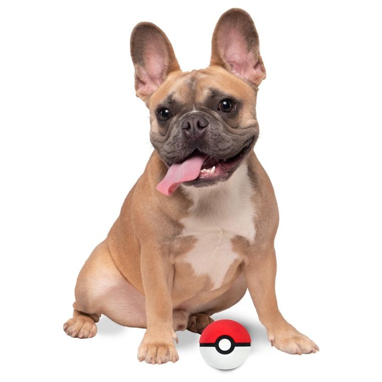 Squishmallows, Pokémon, PokeBall, piłka dla psa, 2.5"