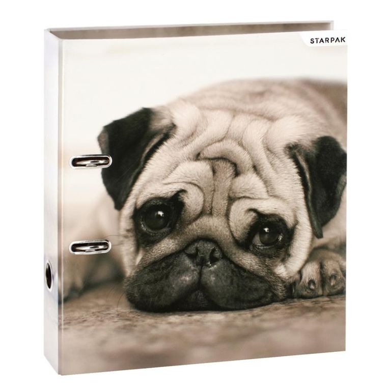 Starpak, segregator A4, psy