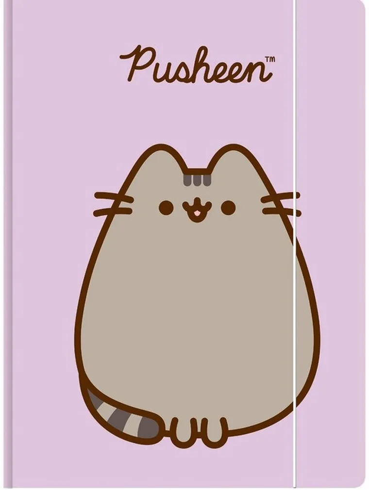 St.Majewski, Pusheen, teczka z gumką A4, 1 szt.