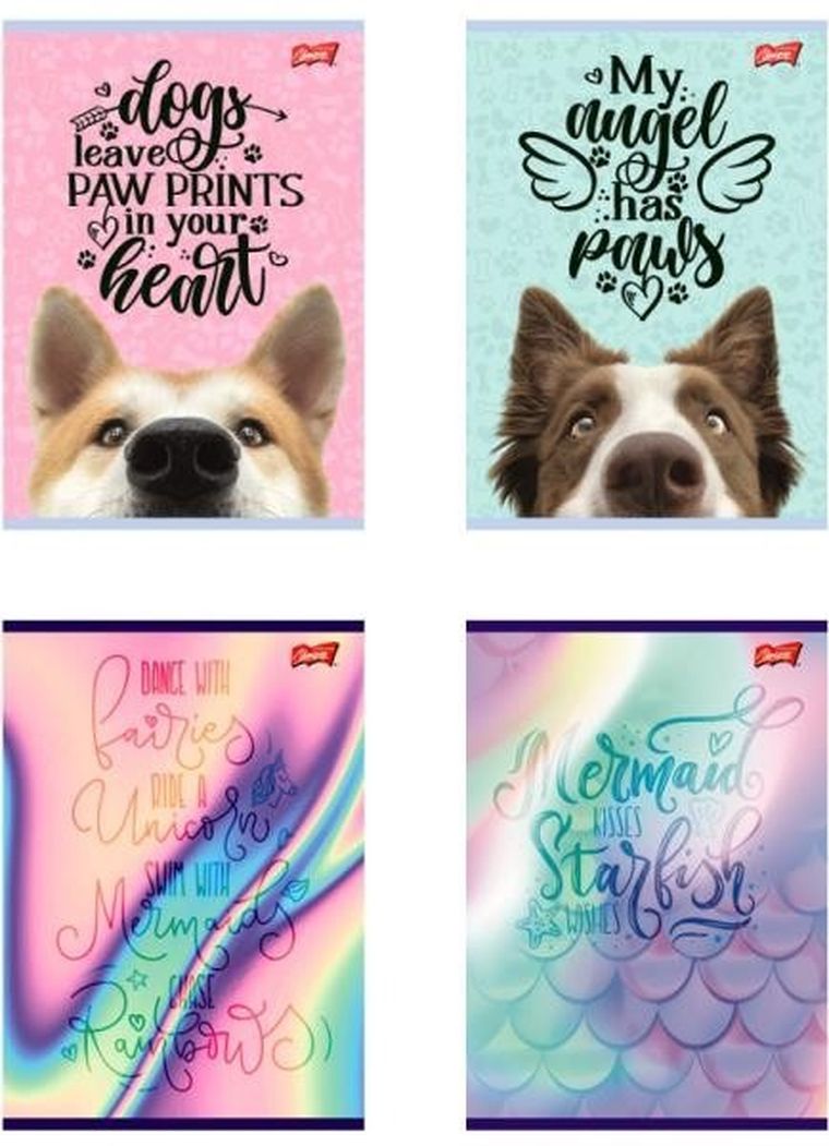 St.Majewski, zeszyt laminowany A4, linia podwójna dwukolorowa, 32 kartki, 1 szt.