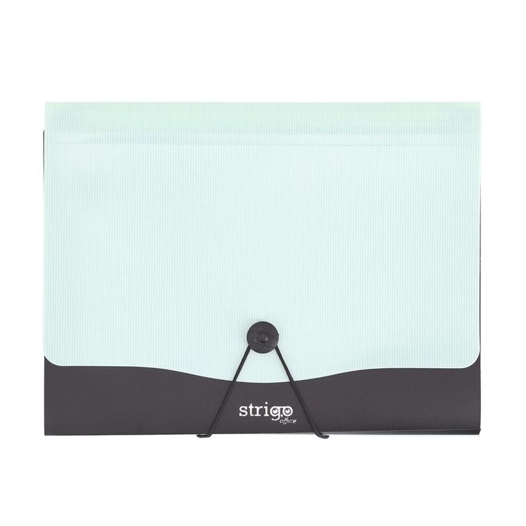 Strigo, Vfile, teczka z 13 przekładkami, A4, miętowa, 1 szt.
