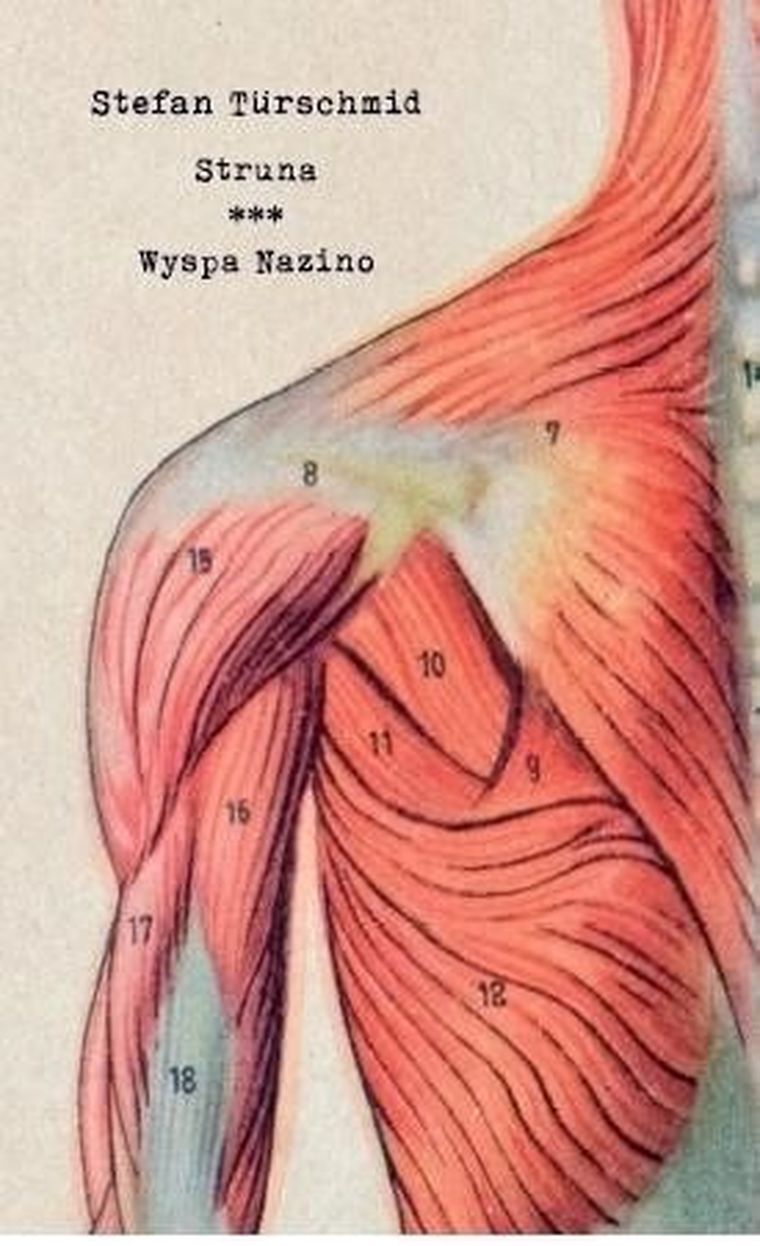 Struna. Wyspa Nazino