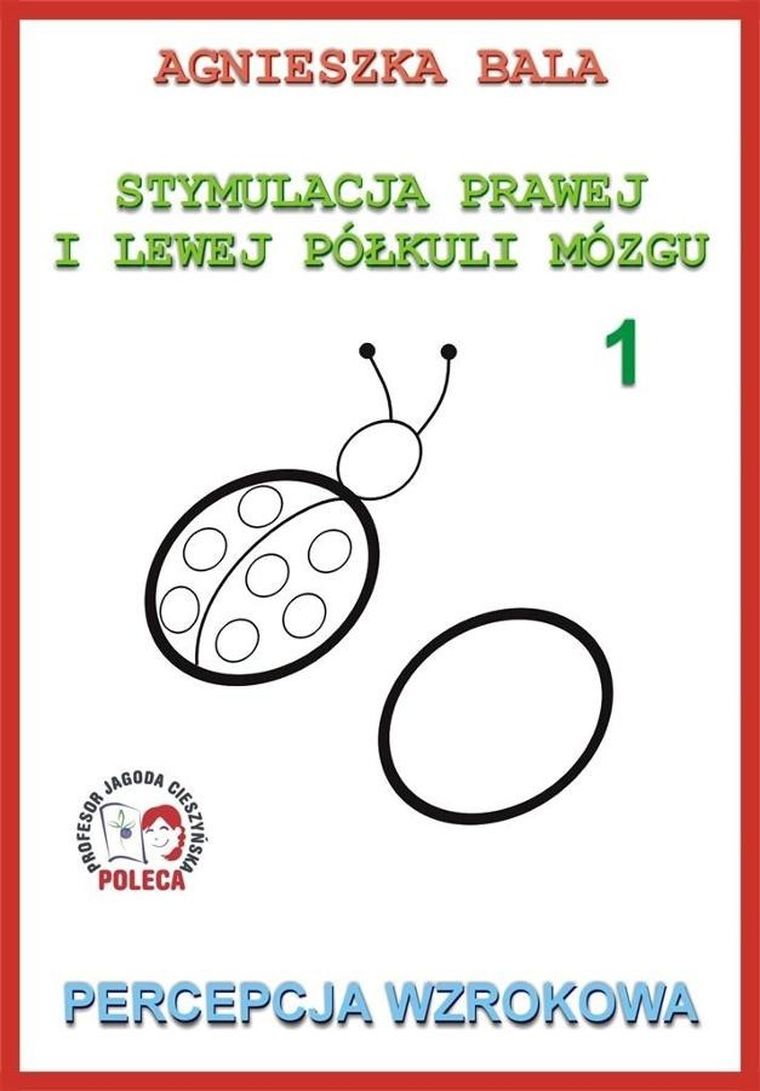 Stymulacja prawej i lewej półkuli 1. Percepcja