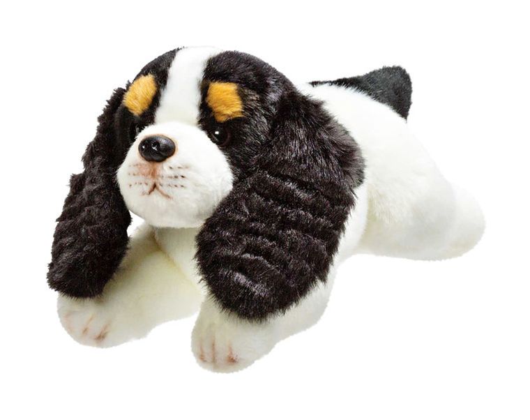 Suki, Pies Cavalier King Charles Spaniel, maskotka, 30 cm