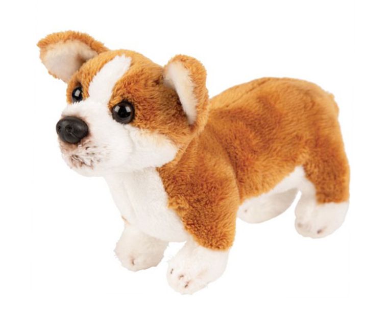 Suki, pies Corgi, maskotka