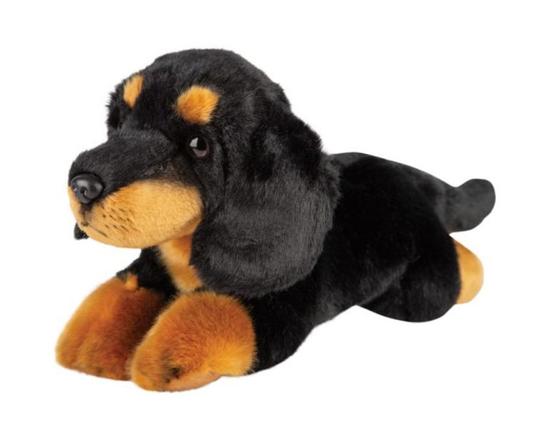 Suki, Pies Jamnik, maskotka, czarny