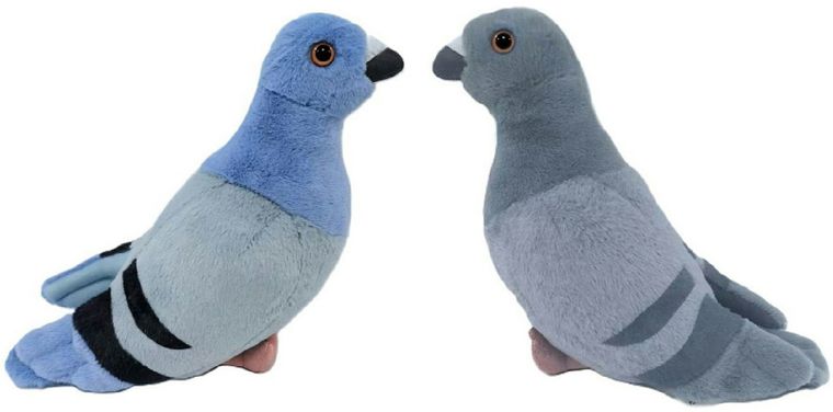 Sun-Day, Gołąb, maskotka, 22 cm, 1 szt.