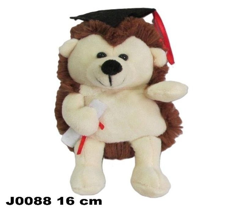 Sun-Day, Jeż profesor Veda, maskotka