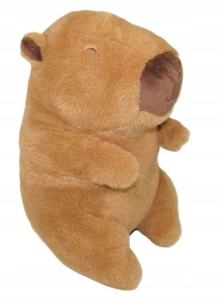 Sun-Day, Kapibara, maskotka, 20 cm