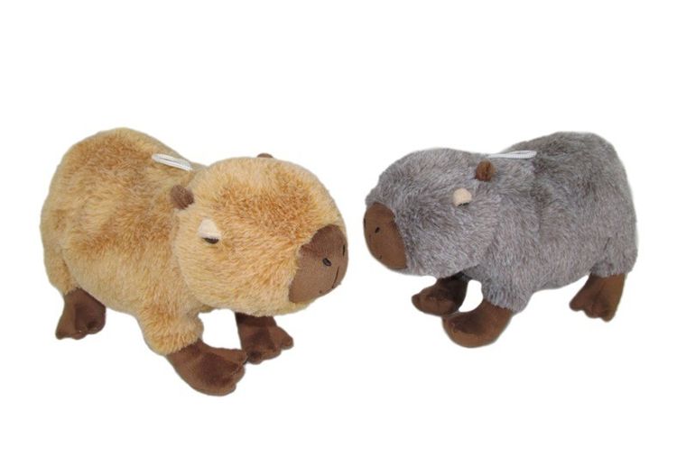 Sun-Day, Kapibara, maskotka, 26 cm, 1 szt.