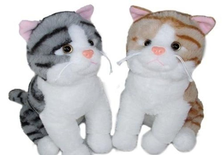 Sun-Day, Kot, maskotka, 35 cm, 1 szt.