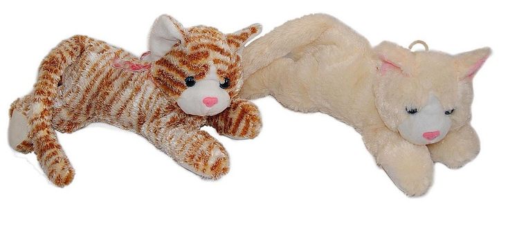 Sun-Day, maskotka, kot z głosem, 29 cm