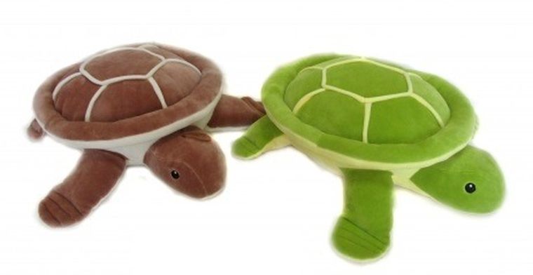 Sun-Day, maskotka, żółw, 25 cm