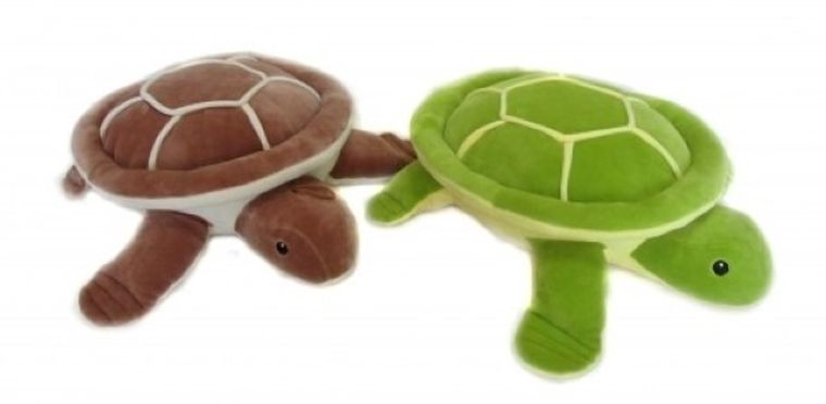 Sun-Day, maskotka, żółw, 35 cm