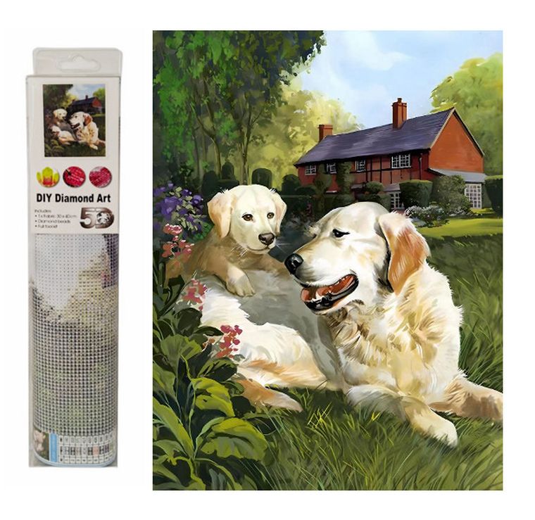 Swede, diamentowa mozaika, labradory