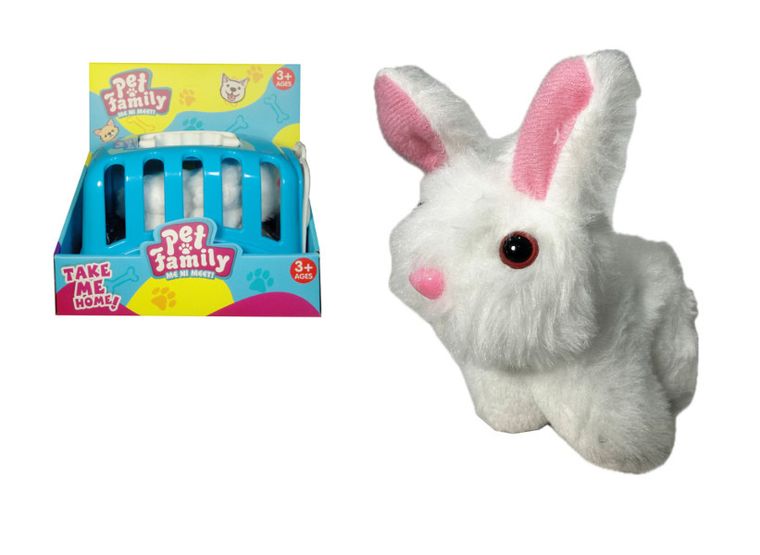 Swede, królik w transporterze z akcesoriami