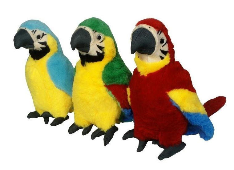 Swede, papuga, maskotka, 1 szt.