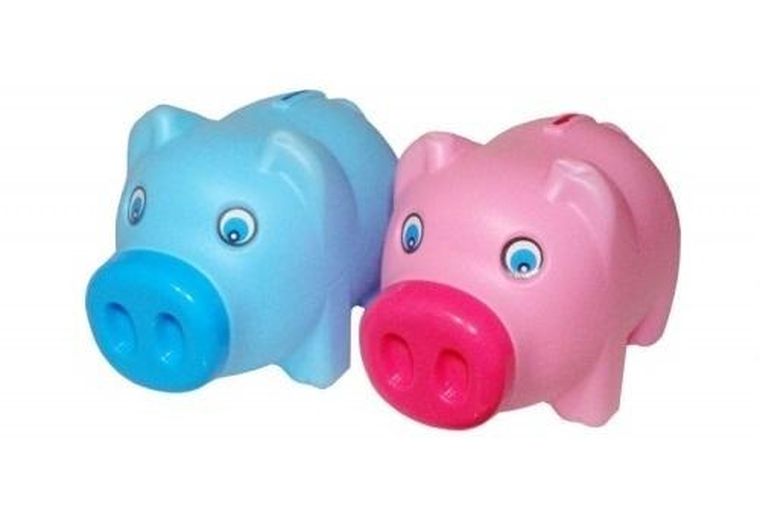 Swede, świnka, skarbonka