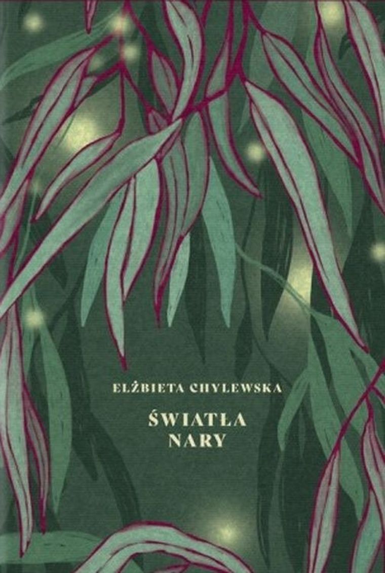Światła Nary