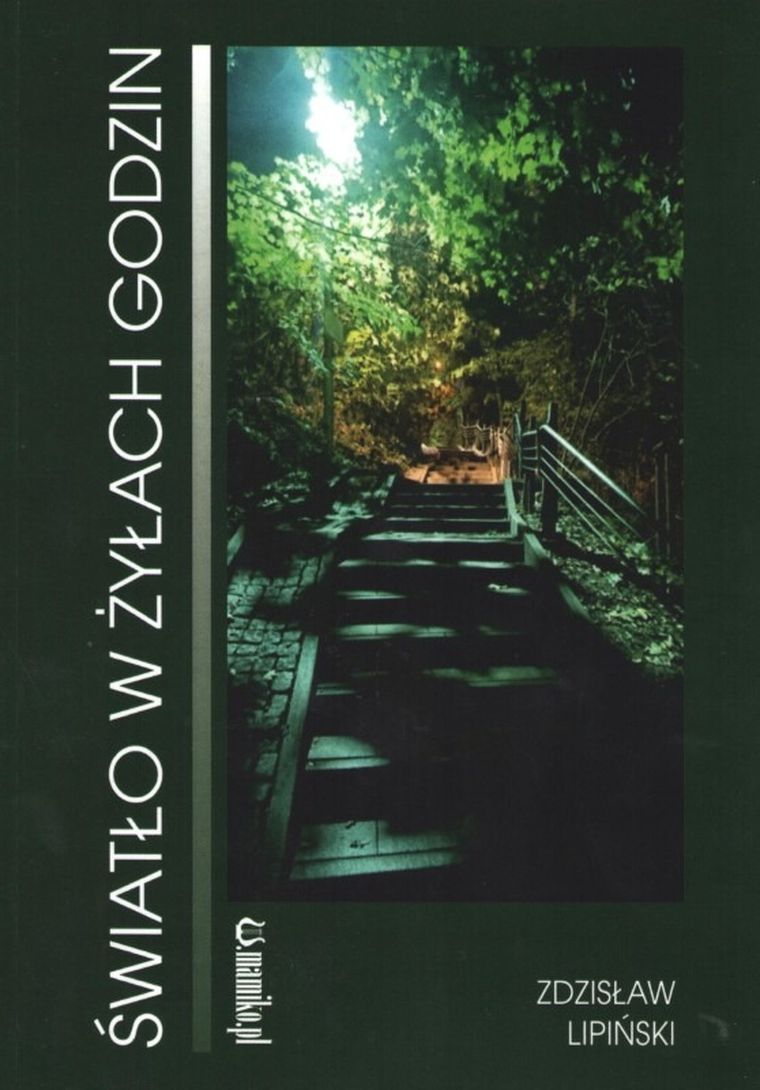 Światło w żyłach godzin