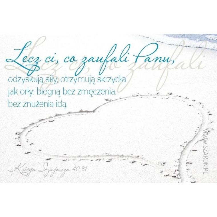 Szaron, magnes na lodówkę, Lecz ci co zaufali