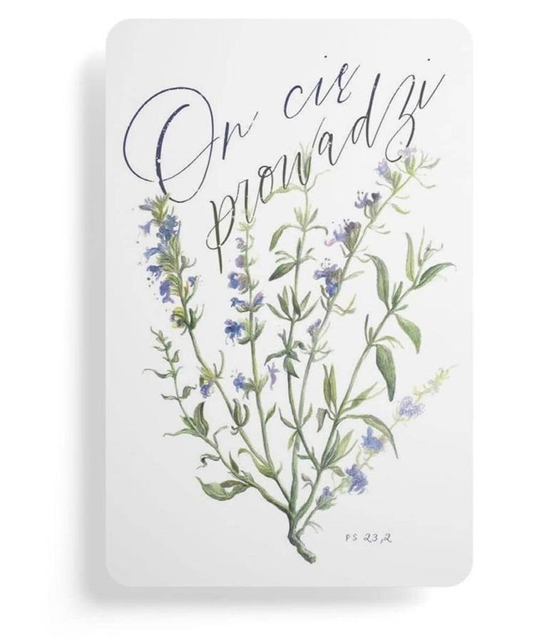 Szaron, magnes na lodówkę, On cię prowadzi