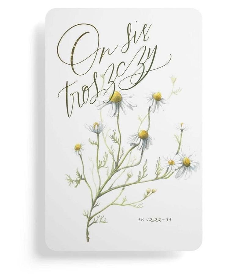 Szaron, magnes na lodówkę, On się troszczy