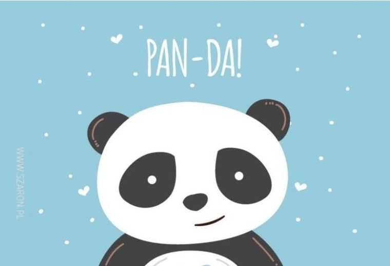 Szaron, magnes na lodówkę, Pan da!