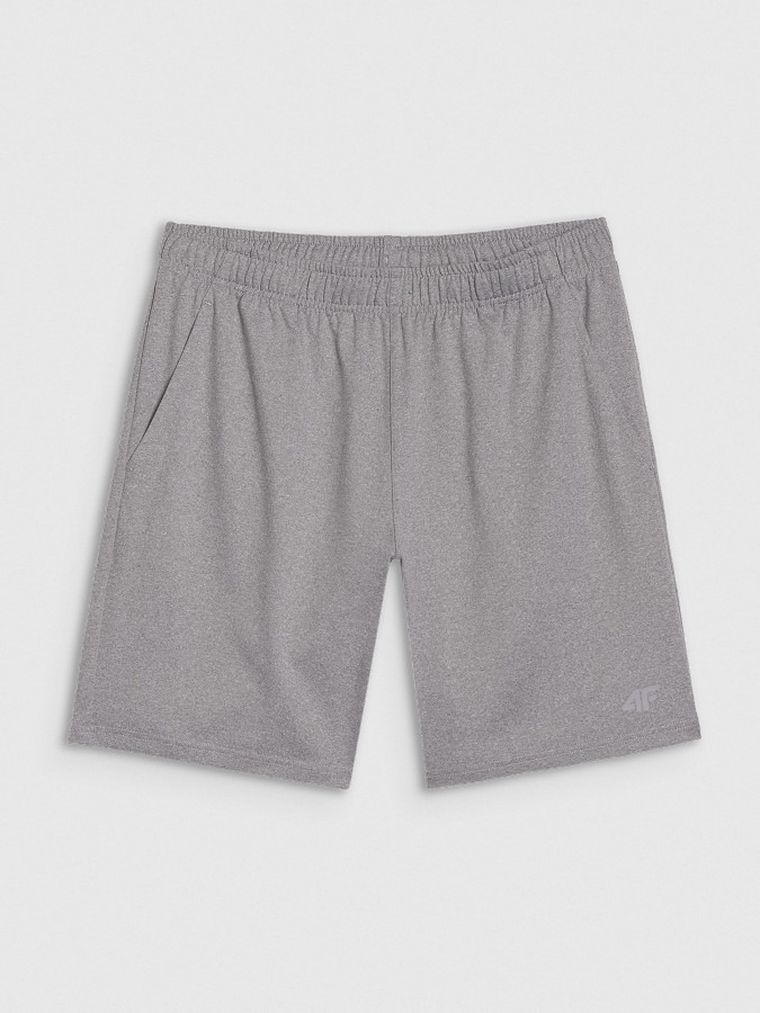 Szorty męskie, szare, 4F