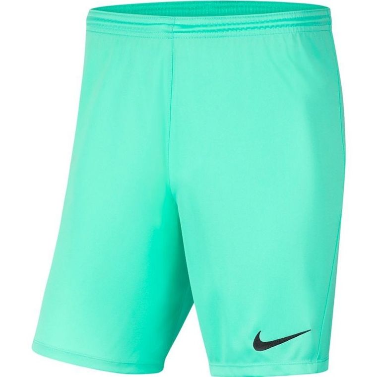 Szorty męskie, zielone, Nike
