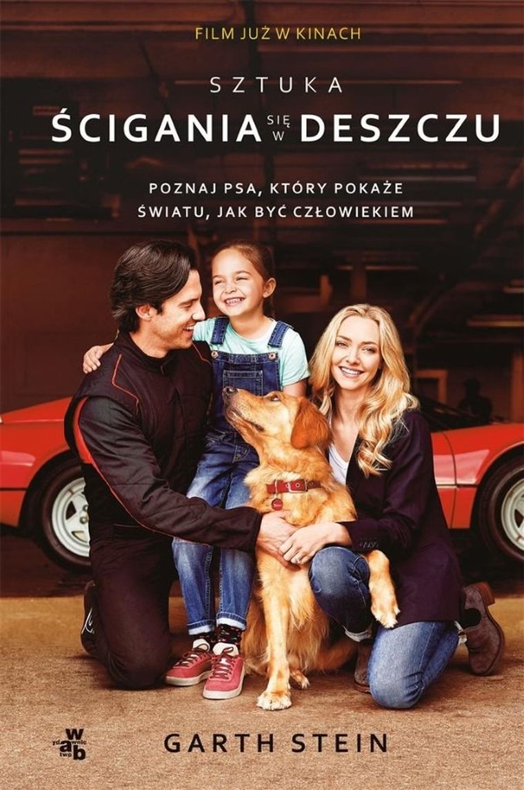 Sztuka ścigania się w deszczu