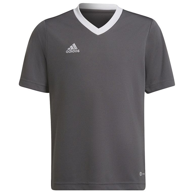 T-shirt chłopięcy, ciemnoszary, Adidas Entrada 22