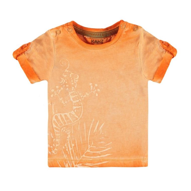 T-shirt chłopięcy, pomarańczowy, Kanz