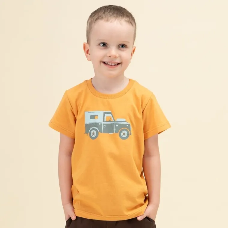 T-shirt chłopięcy, pomarańczowy, Pinokio