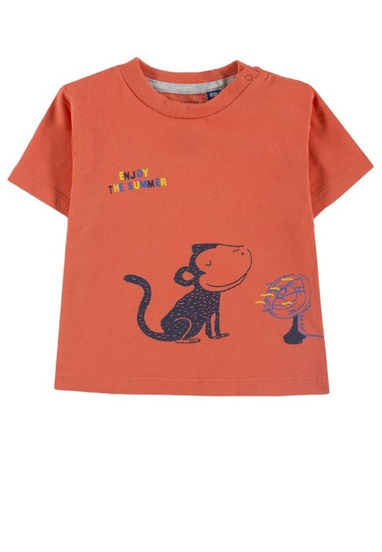 T-shirt chłopięcy, pomarańczowy, Tom Tailor