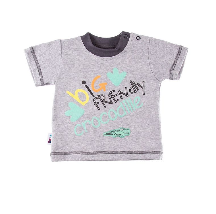 T-shirt chłopięcy, szary, Eevi