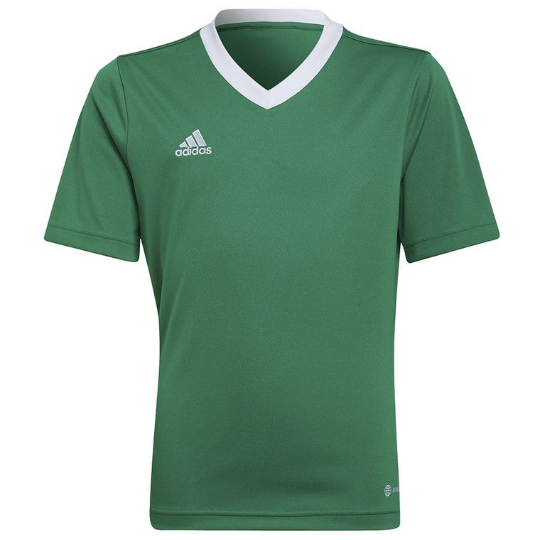 T-shirt chłopięcy, zielony, Adidas Entrada 22