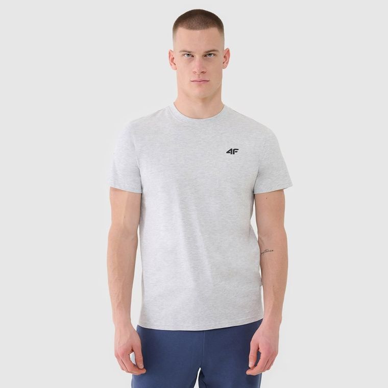 T-shirt męski, szary, 4F