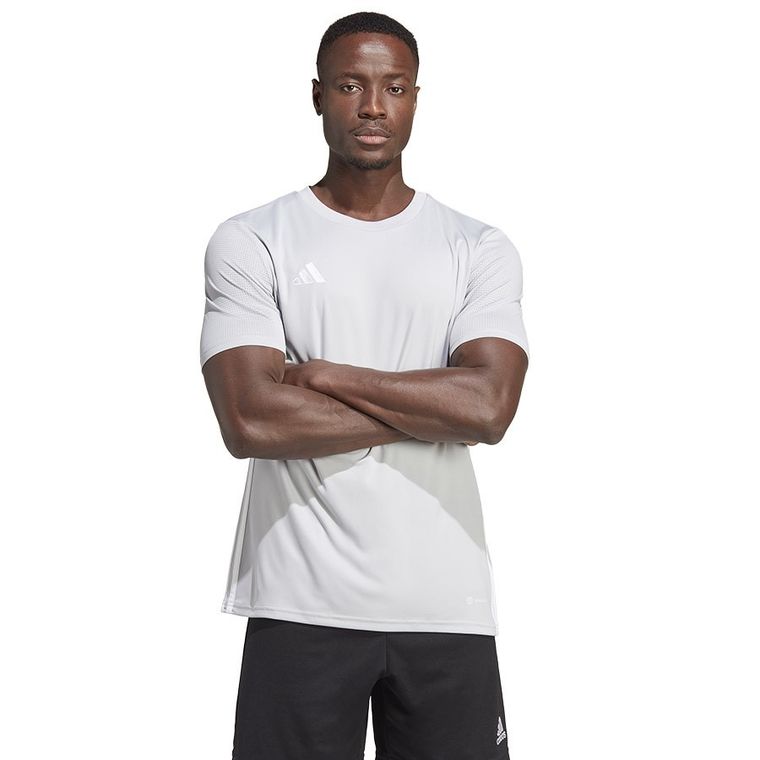 T-shirt męski, szary, Adidas Tabela