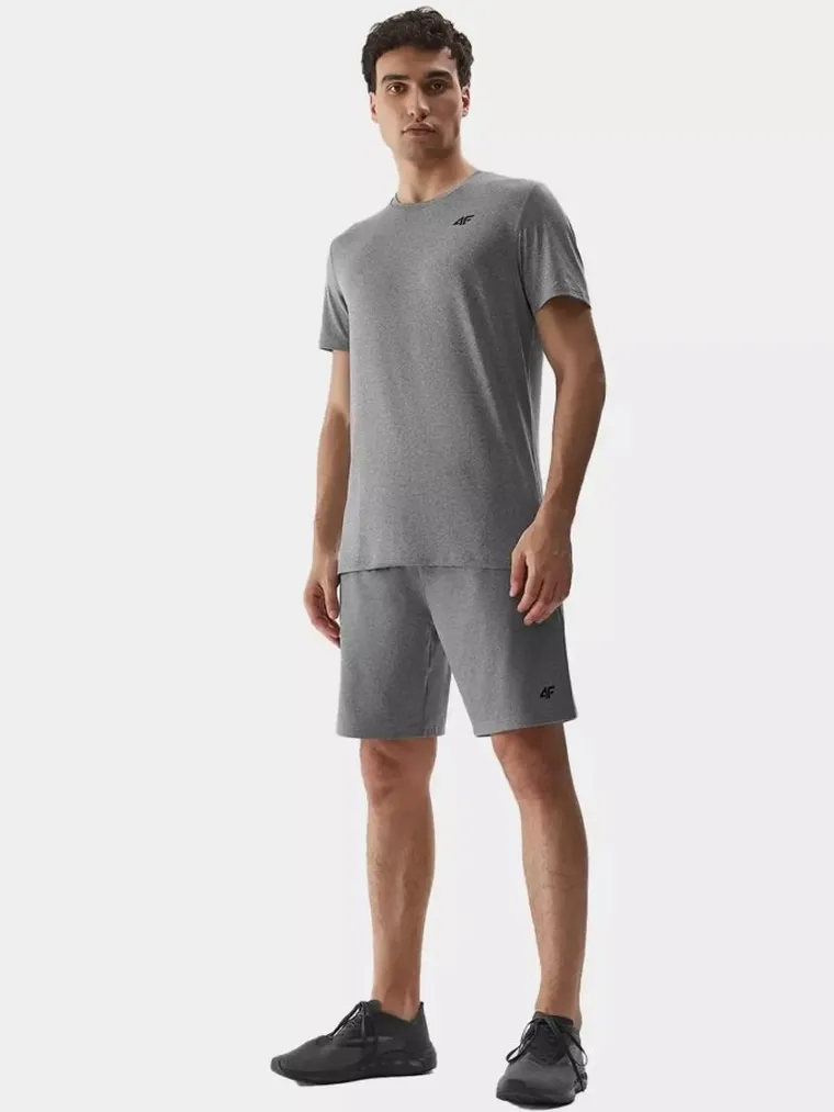T-shirt męski, szary melanż, 4F