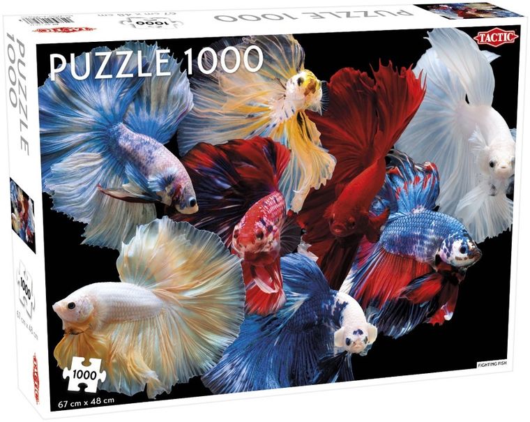 Tactic, Animals, Fighting Fish, puzzle, 1000 elementów
