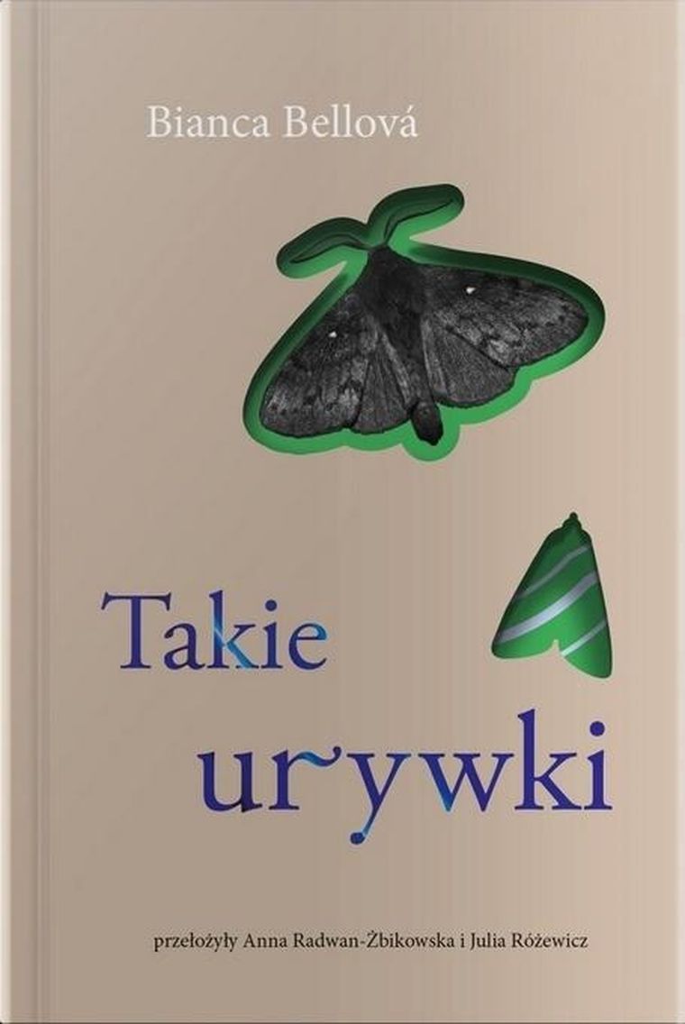 Takie urywki