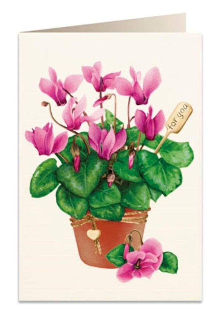 Tassotti, karnet B6 + koperta, Cyklamen