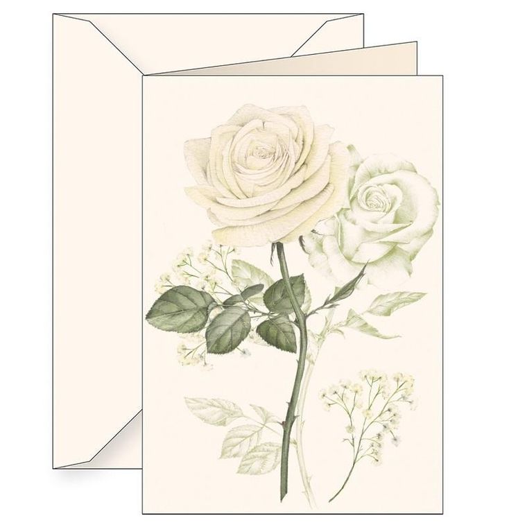 Tassotti, karnet B6 z kopertą, biała róża