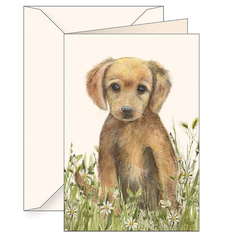 Tassotti, karnet B6 z kopertą, brązowy szczeniak