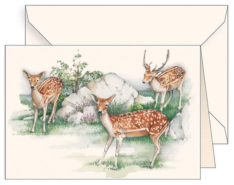 Tassotti, karnet B6 z kopertą, jelonki